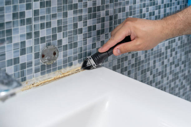 Best Health and Safety Mold Remediation in Williamston, MI
